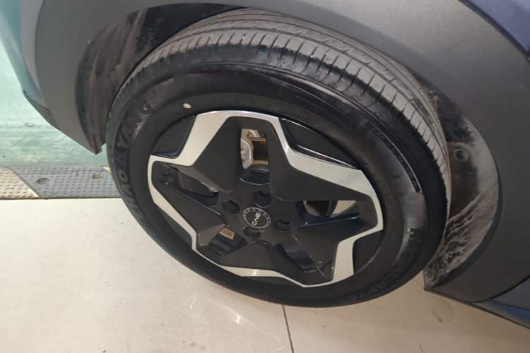 Used BYD Dolphin 2025 420km Active Version Right Rear Wheel Hub