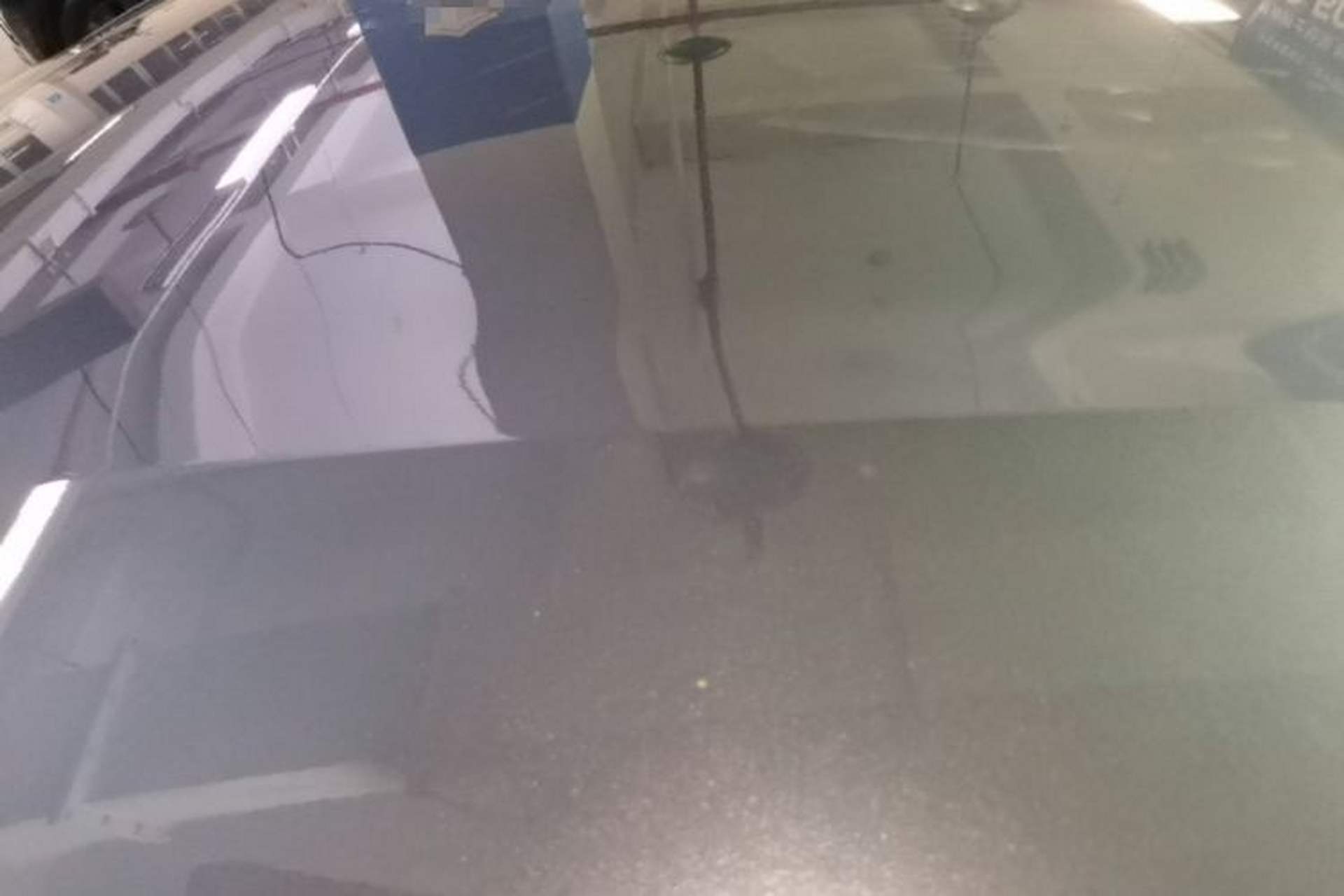Used BYD Dolphin 2025 420km Free Edition Roof