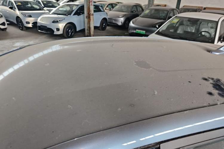 Used BYD Dolphin 2025 420km Free Edition Roof
