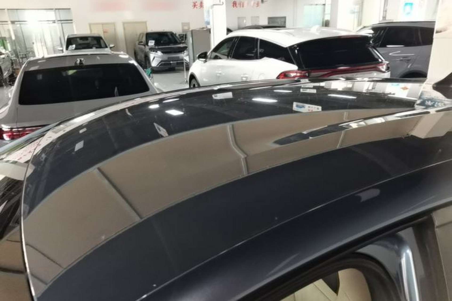 Used BYD Dolphin 2025 420km Free Edition Roof