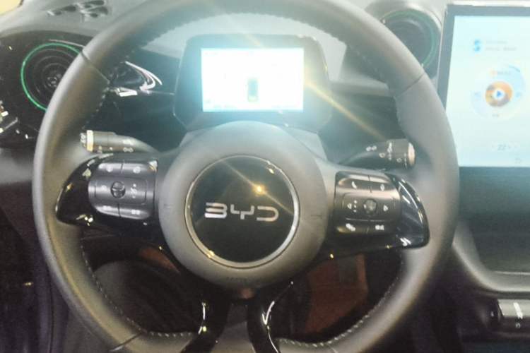 Used BYD Dolphin 2025 420km Free Edition Steering Wheel