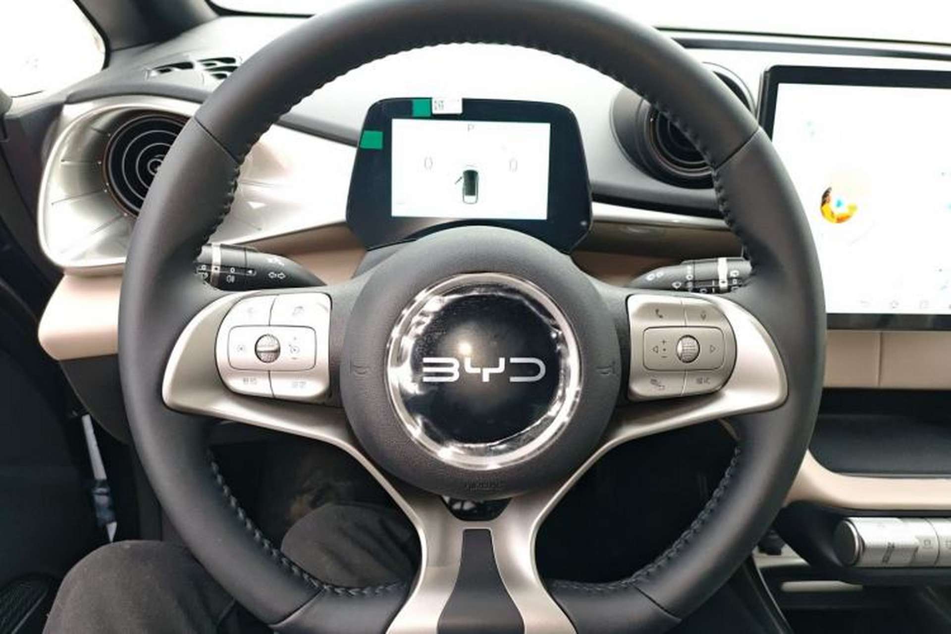 Used BYD Dolphin 2025 420km Free Edition Steering Wheel