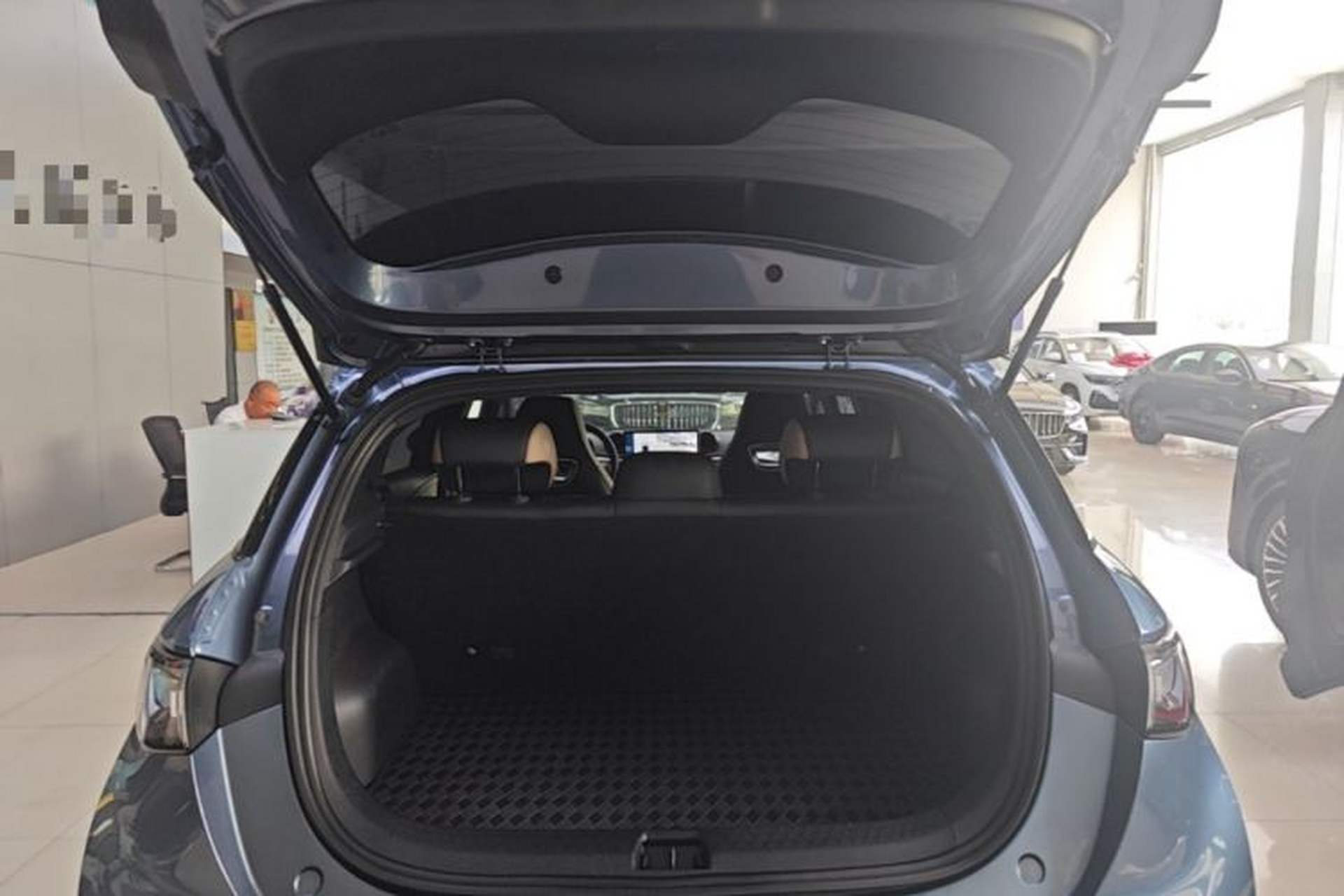 Used BYD Dolphin 2025 420km Free Edition Trunk