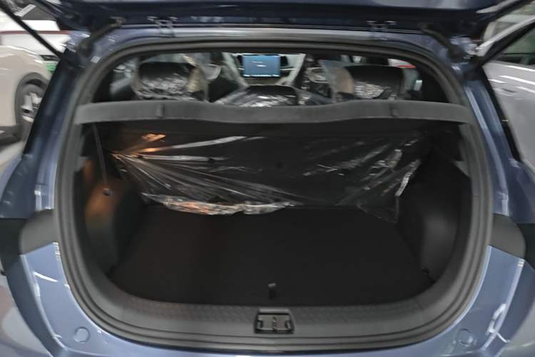 Used BYD Dolphin 2025 420km Free Edition Trunk