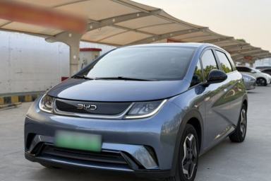 Used BYD Dolphin 2025 420km Active Version
