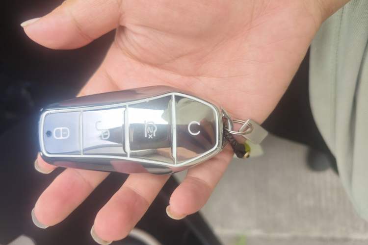 Used BYD Dolphin 2025 Smart Drive Version 420 km Freedom Edition Vehicle Key
