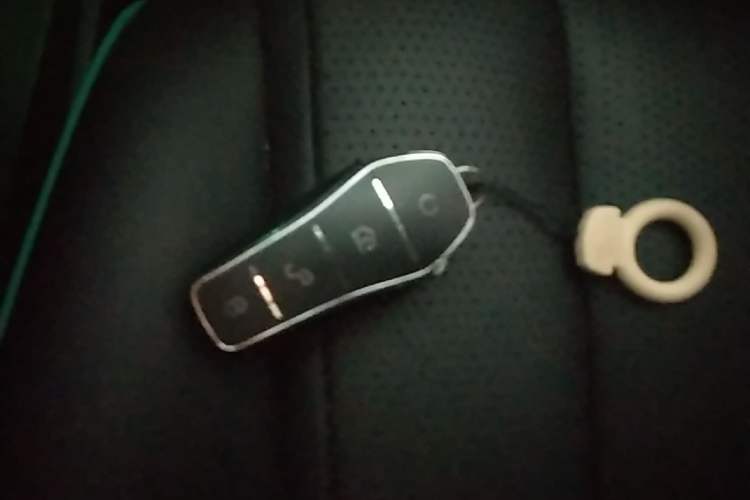 Used BYD Dolphin 2025 Intelligent Driving Version 410 km Fashion Edition Vehicle Key