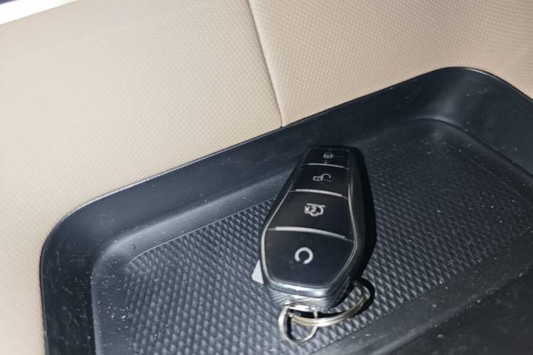 Used BYD Dolphin 2025 420km Free Edition Vehicle Key