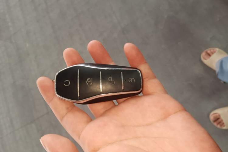 Used BYD Dolphin 2025 Smart Drive Version 420 km Freedom Edition Vehicle Key