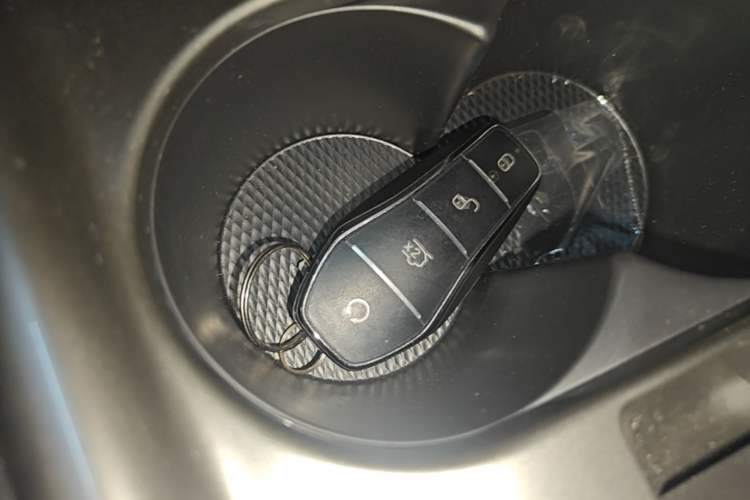 Used BYD Dolphin 2025 420km Free Edition Vehicle Key