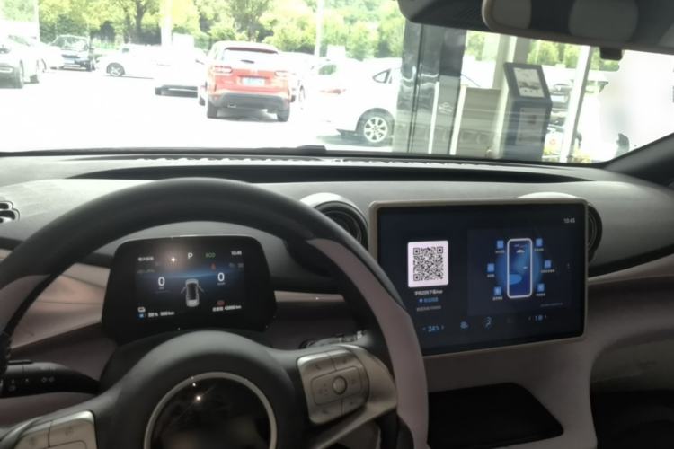 Used BYD Dolphin 2025 520km Range Knight Edition Center Console