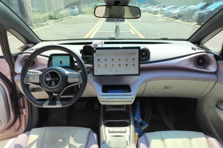 Used BYD Dolphin 2025 420km Fashion Edition Center Console