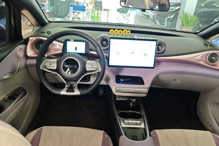 Used BYD Dolphin 2025 420km Fashion Edition Center Console