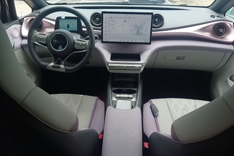Used BYD Dolphin 2025 420km Fashion Edition Center Console