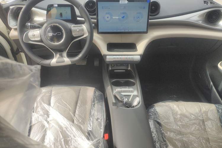 Used BYD Dolphin 2025 420km Free Edition Center Console