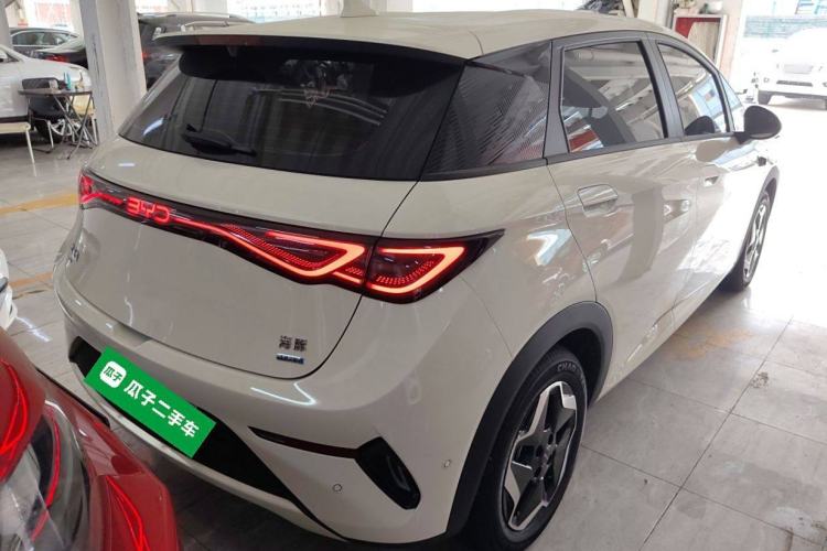 Used BYD Dolphin 2025 Smart Drive Version 420 km Freedom Edition Exterior 5