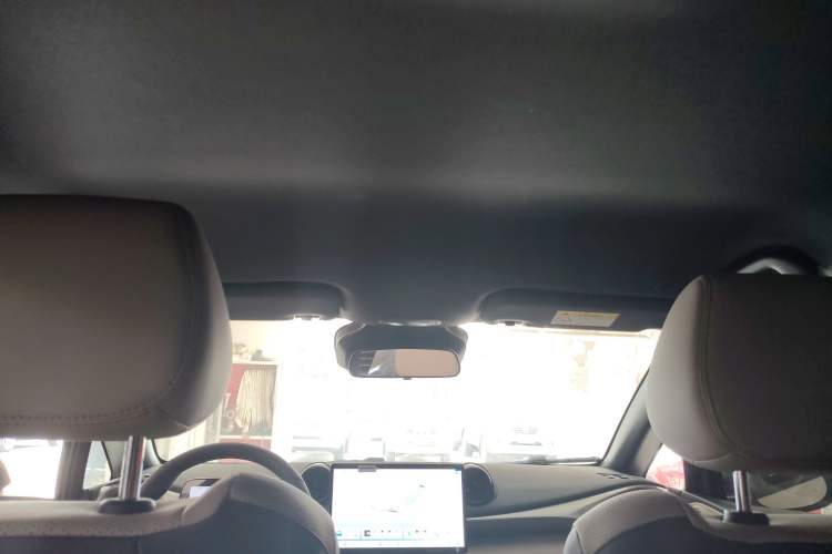Used BYD Dolphin 2025 Smart Drive Version 420 km Freedom Edition Headliner