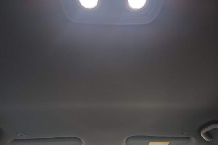 Used BYD Dolphin 2025 420km Free Edition Headliner