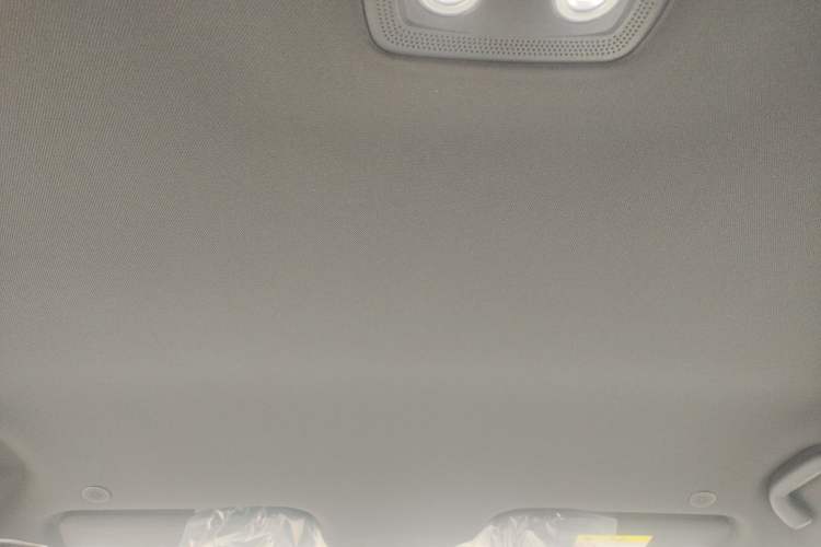 Used BYD Dolphin 2025 420km Free Edition Headliner