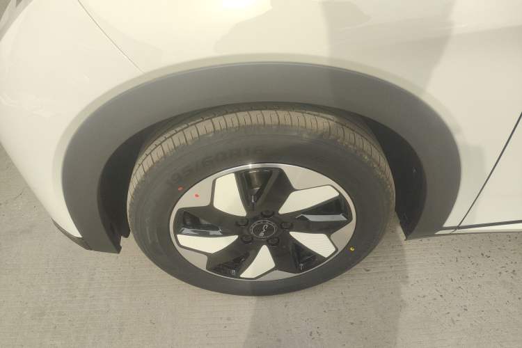 Used BYD Dolphin 2025 420km Free Edition Left Front Wheel Hub