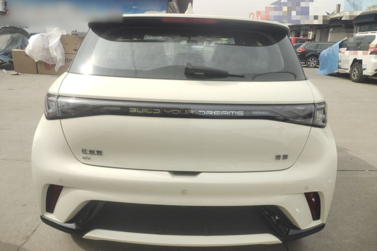 Used BYD Dolphin 2025 420km Free Edition Rear