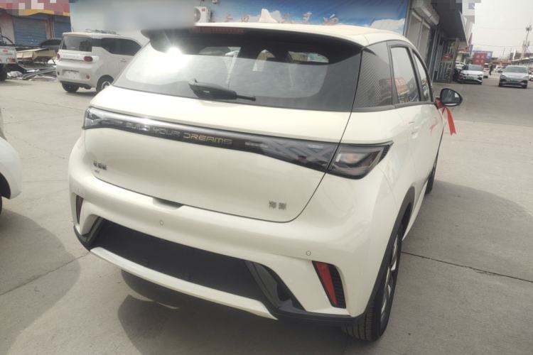 Used BYD Dolphin 2025 420km Free Edition Rear Right 45 Deg