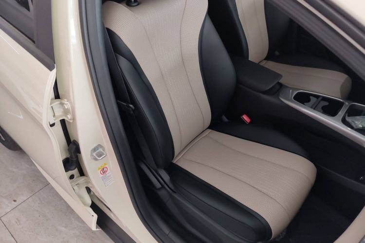 Used BYD Dolphin 2025 Smart Drive Version 420 km Freedom Edition Right Front Seat