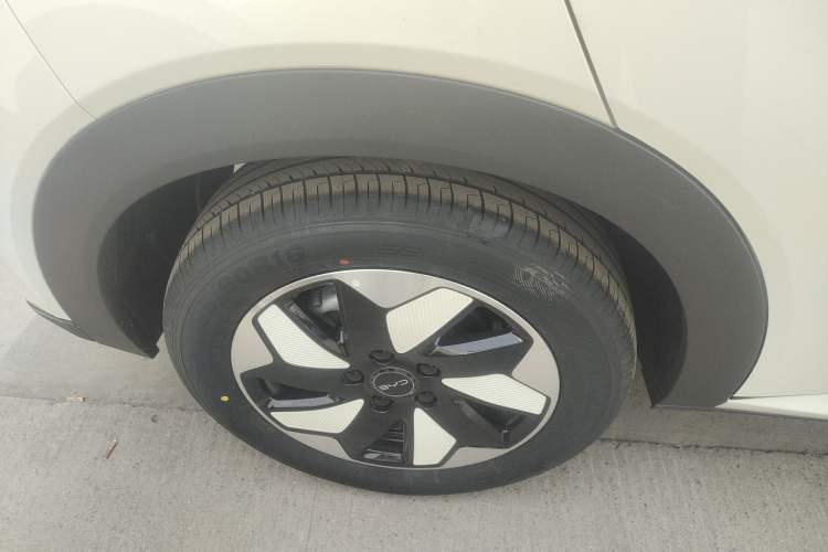 Used BYD Dolphin 2025 420km Free Edition Right Rear Wheel Hub