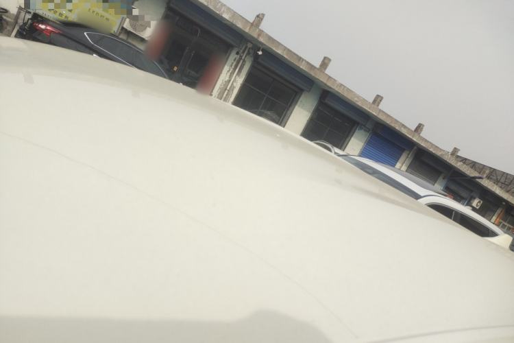 Used BYD Dolphin 2025 420km Free Edition Roof
