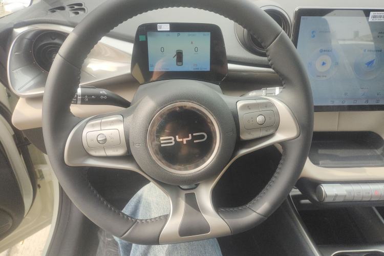 Used BYD Dolphin 2025 420km Free Edition Steering Wheel
