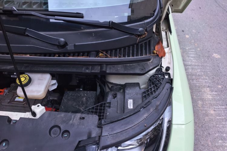 Used BYD Dolphin 2025 420km Free Edition Engine Bay Left
