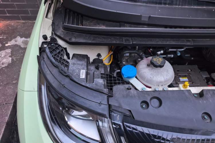 Used BYD Dolphin 2025 420km Free Edition Engine Bay Right