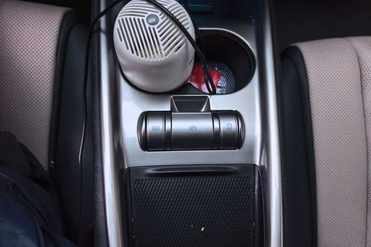 Used BYD Dolphin 2025 420km Free Edition Gear Lever
