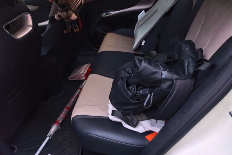 Used BYD Dolphin 2025 420km Free Edition Left Rear Seat