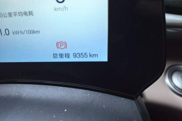 Used BYD Dolphin 2025 420km Free Edition Odometer Close Up