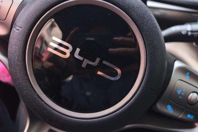 Used BYD Dolphin 2025 420km Free Edition Vehicle Key