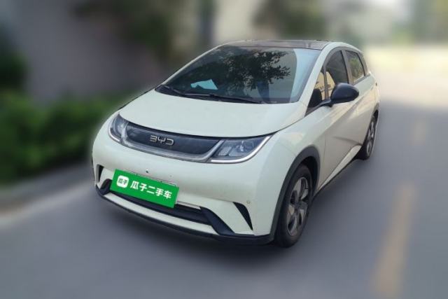 BYD Dolphin 2025 420km Fashion Edition usado