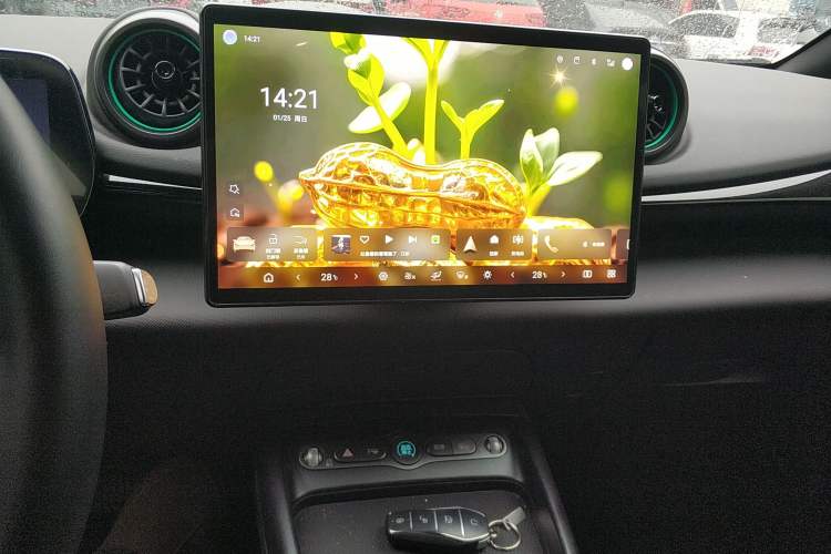 Used BYD Dolphin 2025 Smart Drive Version 420 km Freedom Edition Audio And AC Panel