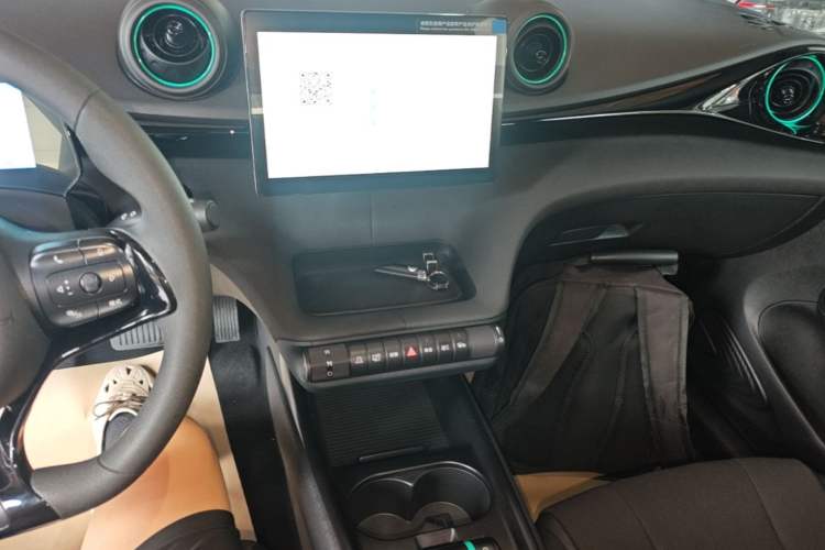 Used BYD Dolphin 2025 420km Active Version Audio And AC Panel