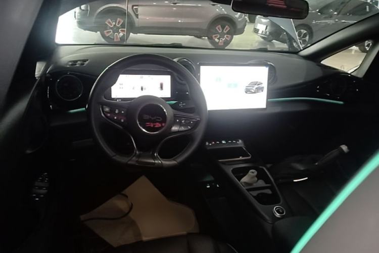 Used BYD Dolphin 2025 Intelligent Driving Version 520km Range Knight Edition Center Console