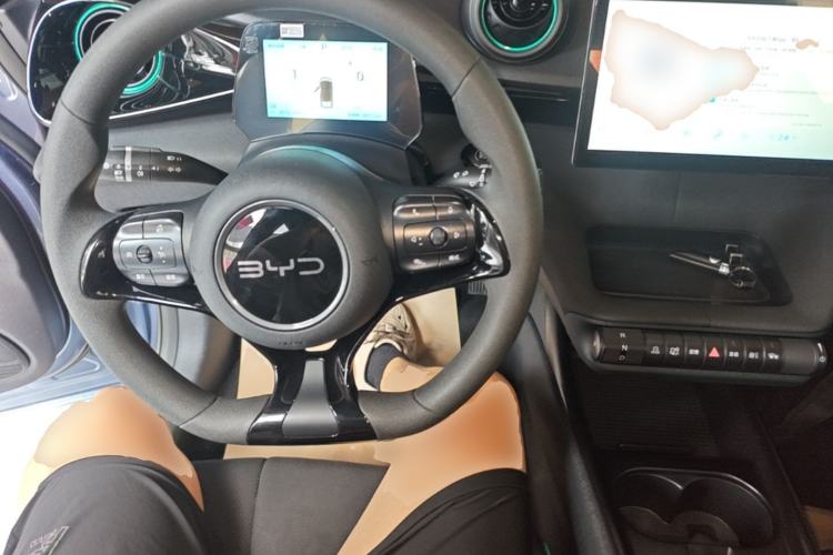 Used BYD Dolphin 2025 420km Active Version Center Console