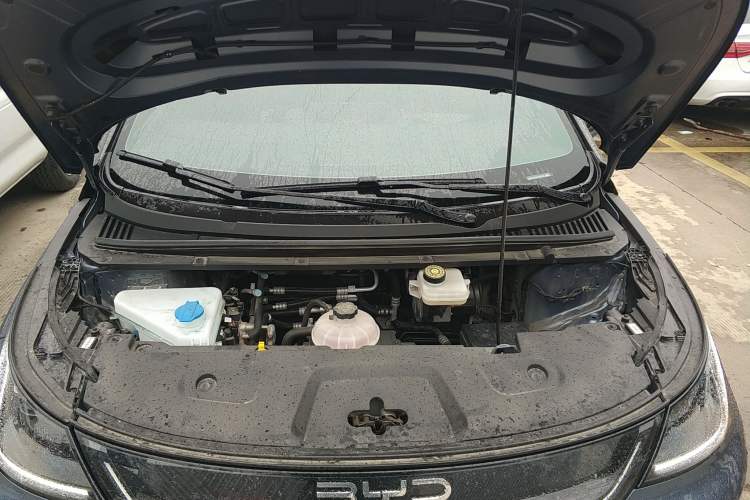 Used BYD Dolphin 2025 Smart Drive Version 420 km Freedom Edition Engine Bay