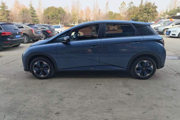 Used BYD Dolphin 2025 420km Free Edition Exterior 5