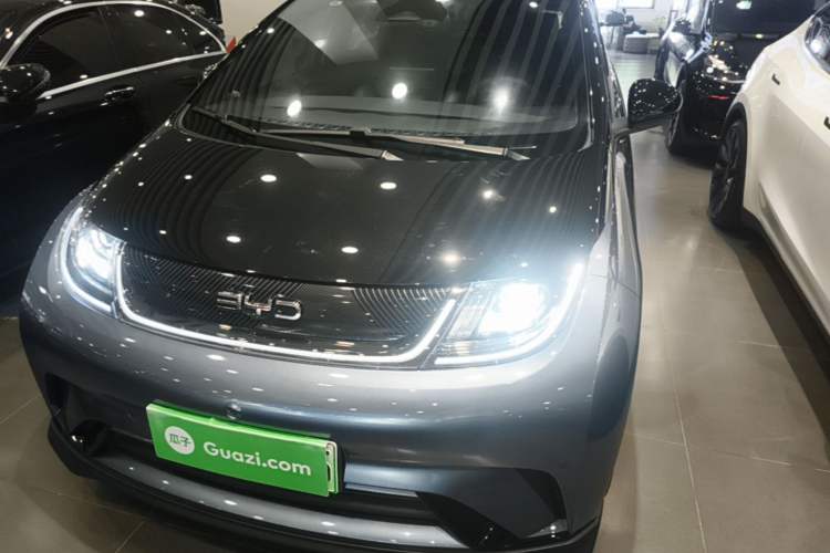 Used BYD Dolphin 2025 520km Range Knight Edition Front
