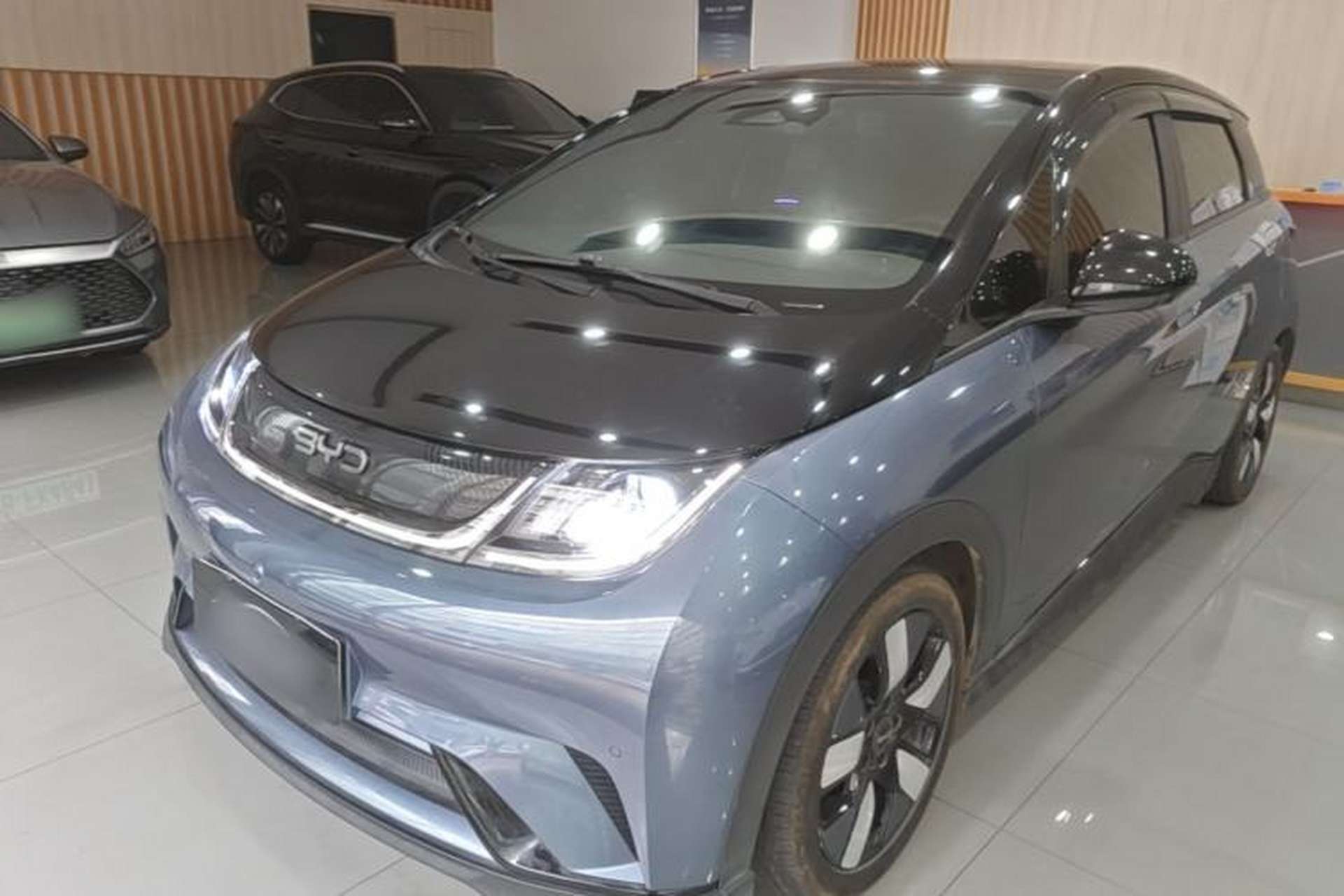 Used BYD Dolphin 2025 520km Range Knight Edition Front Left 45 Deg