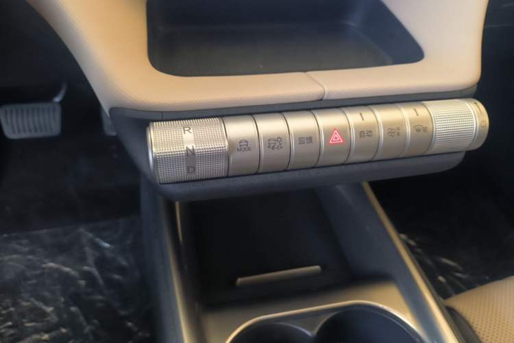 Used BYD Dolphin 2025 420km Free Edition Gear Lever