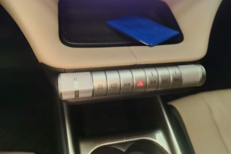 Used BYD Dolphin 2025 420km Free Edition Gear Lever