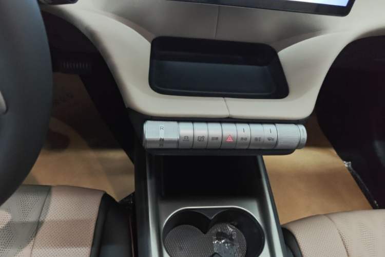 Used BYD Dolphin 2025 420km Free Edition Gear Lever