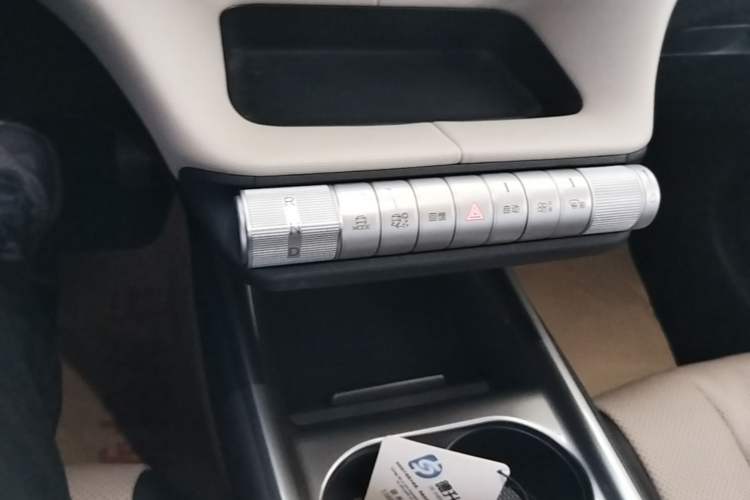 Used BYD Dolphin 2025 420km Free Edition Gear Lever