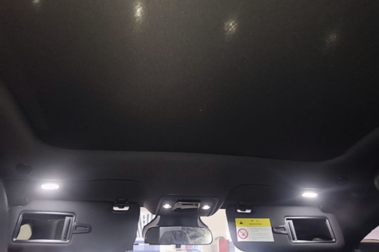 Used BYD Dolphin 2025 520km Range Knight Edition Headliner